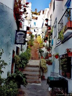 an alleyway with potted plants and stairs leading up to the upper floor balcony