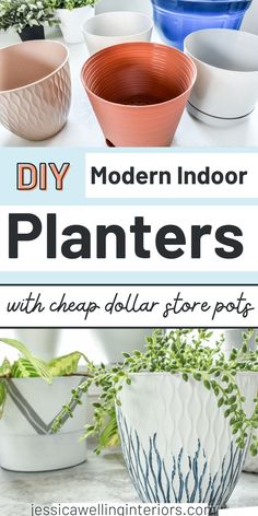 I’ve realized is that stylish modern plant pots are not cheap. Especially when you want 20-30 of them all at once. So it’s time to get creative!