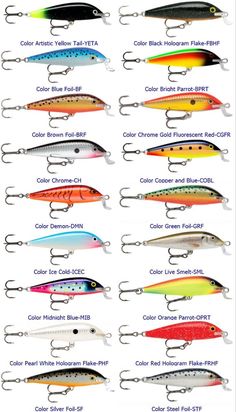 the different types of fishing lures for bass and piker fishers, with their names