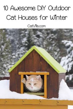 a cat house with the words 10 awesome diy outdoor cat houses for winter on it