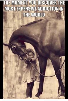 I love horses. This is to sweet and goes out to my favorite 4 yr old little princess. Pretty Horses, Horse Pictures, Horse Love, Horse Girl