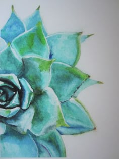 a painting of a blue and green succulent on a white background with the center flower visible