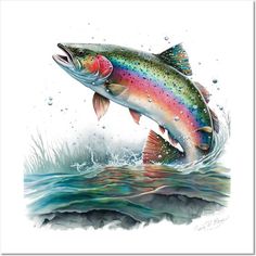 a rainbow colored fish jumping out of the water