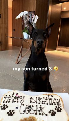 a dog sitting in front of a birthday cake