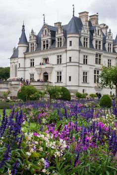 a large white building surrounded by lots of purple and white flowers