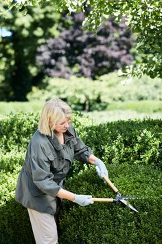 a woman is pruning bushes with a garden tool