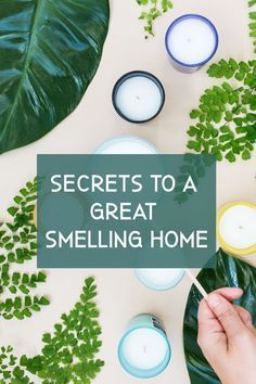 the words secrets to a great smelling home surrounded by plants and candles on a white surface