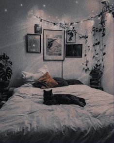 a cat laying on top of a white bed in a room with plants and lights