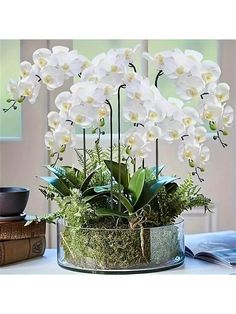 white orchids and moss in a glass container on a table next to a book