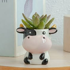 a ceramic cow planter with succulents in it's mouth on a table