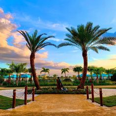 two palm trees in front of a wooden walkway