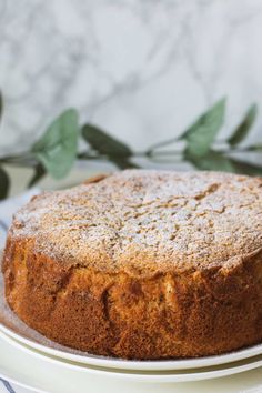 a cake sitting on top of a white plate next to a green leafy plant