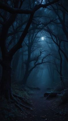 a dark forest filled with lots of trees and lights at the end of it's branches