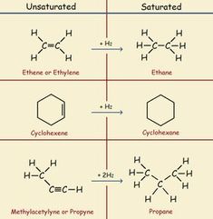 four different types of hydrogens are shown in the diagram, and each one has an equal