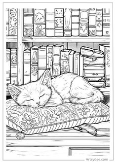 a cat sleeping on a pillow in front of bookshelves