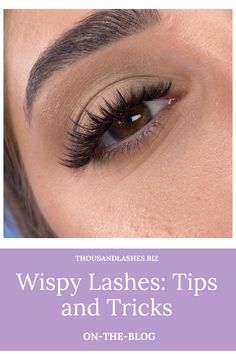 Wet And Wispy Lash Extensions, Eyelash Extensions For Almond Eyes, Short Wispy Lashes, Wispy Hybrid Lashes, Demi Wispies Eyelashes, Almond Eyes, Wet Set, Lash Salon