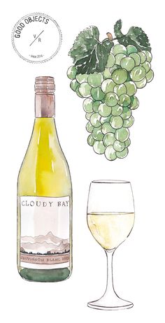 a drawing of a bottle of wine next to a glass with some grapes on it