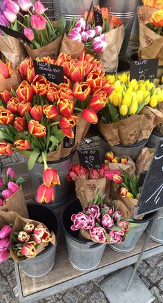 many different colored tulips are on display in buckets