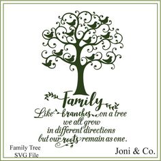 a family tree with the words, like branches on a tree we all grow in different directions