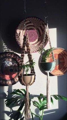 several hanging baskets with plants in them on the wall next to a potted plant