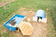 two chickens in a blue tub next to some chicken coops on the side of a field