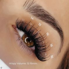 Eyelash Hybrid Extensions Styles, Wet Lash Extensions Map, Eyelash Extensions Styles For Big Eyes, Lash Maps For Almond Eyes, Wispy Lashes Map, Eyelash Extensions Light Volume, Wispy Lash Mapping Clusters, Wispy Cluster Lash Map, 18mm Lash Extensions Map