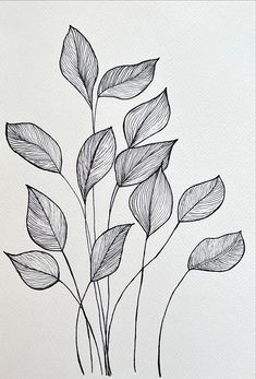 a black and white drawing of some leaves