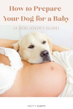 a dog laying on top of a woman's stomach with the title how to prepare your dog for a baby