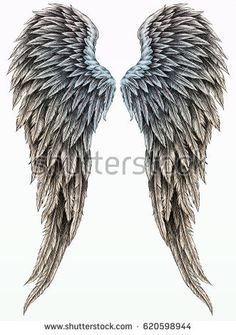 two black and white wings on a white background