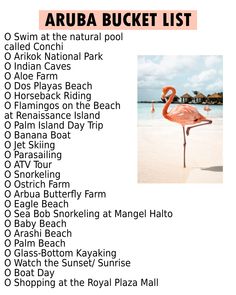 the aruba bucket list is shown in pink