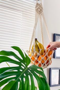 a hanging basket filled with bananas and oranges