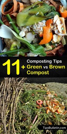 composting tips and green vs brown compost