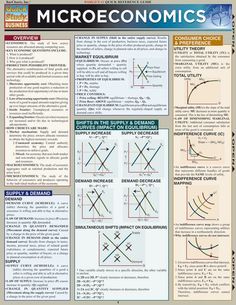 the microeconomics poster is shown with diagrams and instructions for each section