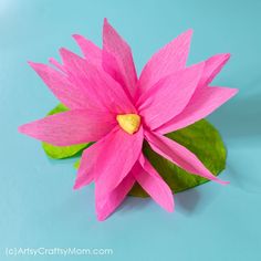 a pink flower with green leaves on a blue background