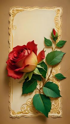 a red rose with green leaves on a white background and an ornate border around it