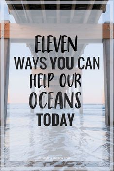 the words eleven ways you can help our oceans today