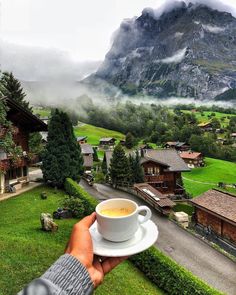 a person holding a cup of coffee on top of a green field with mountains in the background