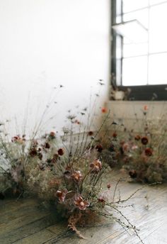 dried flowers sitting on the floor in front of a window