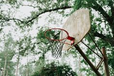 an old basketball hoop in the middle of a forest