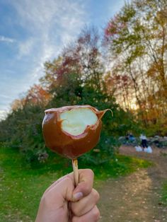 a hand holding a chocolate covered lollipop in the middle of a park area