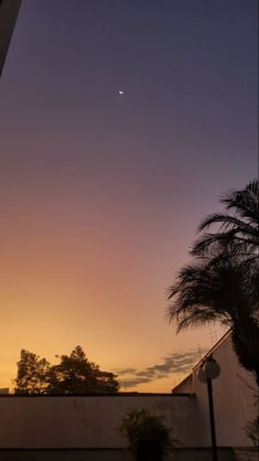 the sun is setting behind some palm trees