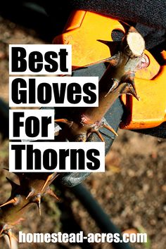 the words best gloves for thorns on top of an orange and black fence post