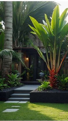 a garden with lots of green plants and some steps leading up to the front door