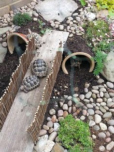 two tortoises sitting on top of a wooden bench in the middle of a garden