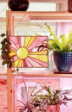 two potted plants sit on top of shelves