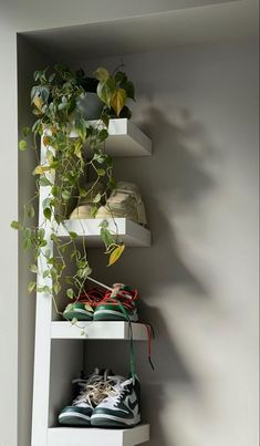 a shelf with shoes and plants on it