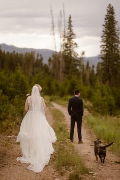 Dog first look First Look With Dog, Story Maker, Hiking Elopement, Northern Colorado, Colorado Hiking, Marriage License, Romantic Moments, Estes Park, Destination Elopement