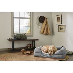 a large dog laying in his bed on the floor