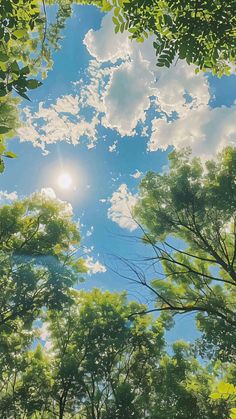 the sun shines through the clouds in the sky above some trees and bushes on a sunny day