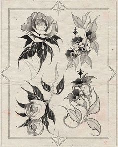 an old fashioned drawing of flowers and leaves